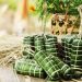 Cách gói bánh chưng dài - Món ăn phổ biến và dịp Tết