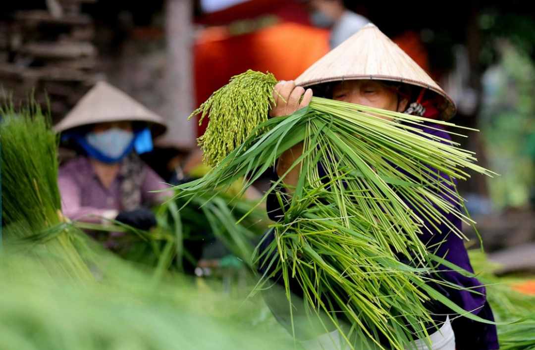 Những nguyên liệu cần chuẩn bị